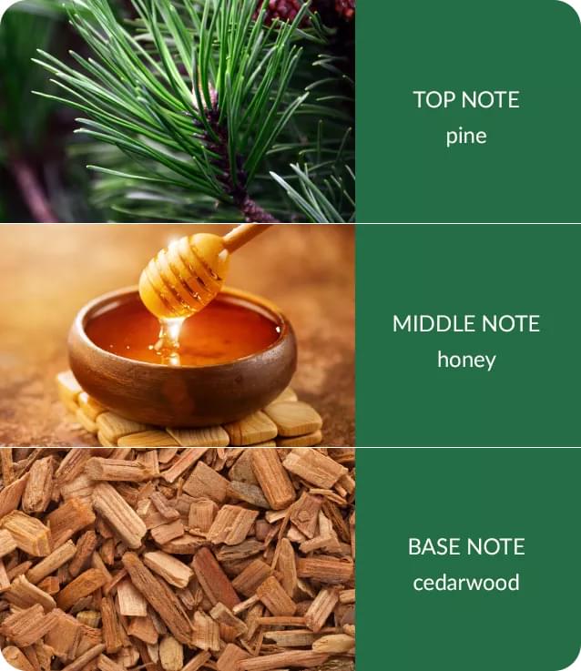 notes-winter-pine-and-cedarwood-medium-1.jpg